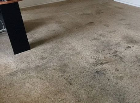 before2 Antique Rug Cleaning & Repair